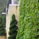 Lombard Street