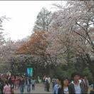 Children's Grand Park