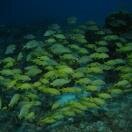 Time for School Photo - Cozumel, Mexico 