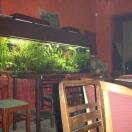 Tanked up in Brewerie!! Photo - Krakow, Poland 