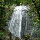 El Yunque