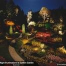 Sunken Gardens Photo - Victoria, British Columbia 