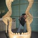 Aquarium of the Americas