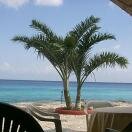 Breakfast Time Photo - Club Cozumel Caribe, Cozumel, Mexico 