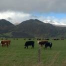 South Island