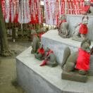Some of the foxes Photo - Toyokawa Inari Shrine and Temple, Tokyo, Japan 