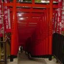 Hie Jinja Photo - Tokyo, Japan 