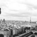 The view Photo - Cathédrale Notre-Dame, Paris, France 