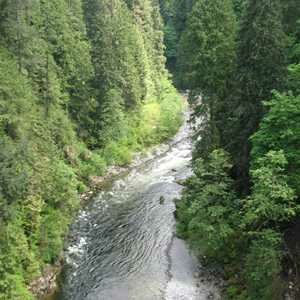 Capilano Suspension Bridge Photo, Vancouver, British Columbia 