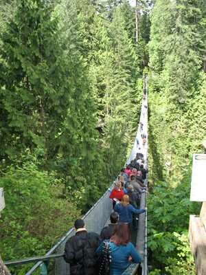 Capilano Suspension Bridge Photo, Vancouver, British Columbia 