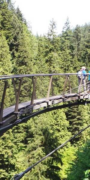 Capilano Suspension Bridge Photo, Vancouver, British Columbia 