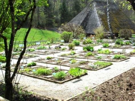 Medicinal herb garden Photo - Brienz-Meiringen, Switzerland 