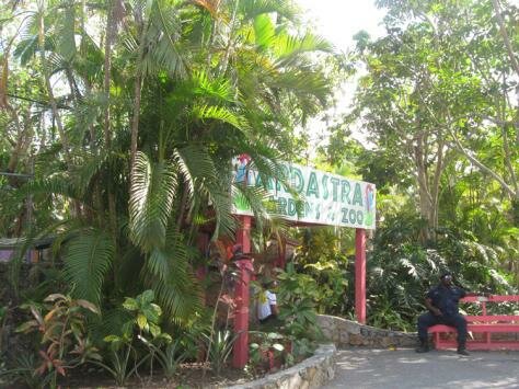 When you are in town Photo - Ardastra Gardens, Zoo and Conservation Centre, Nassau, Bahamas 