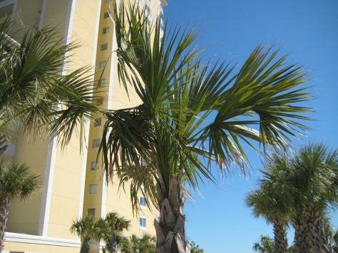 Camelot By The Sea Photo - Camelot By The Sea, Myrtle Beach, South Carolina 