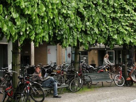 Amsterdam square Photo - Dam Square, Amsterdam, Netherlands 