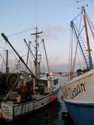Boats Photo - Provincetown, Cape Cod, Massachusetts 
