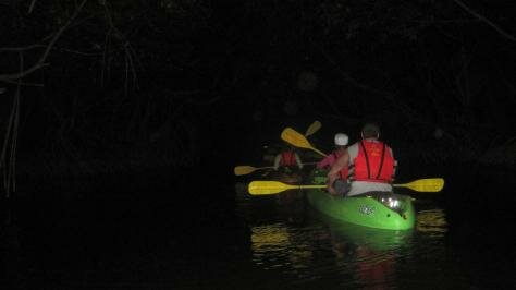 In the dark Photo - Yokahu Kayak Trips, Fajardo, Puerto Rico 