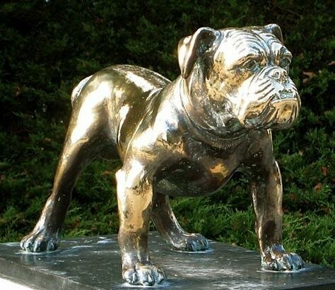 Bulldog Photo - Citadel Archives & Museum, Charleston, South Carolina 