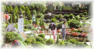 Gold Creek Village Photo - Gold Creek Village, Canberra, Australia 