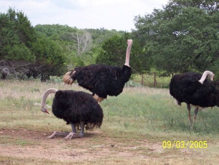 Travel Photo by IgoUgo member