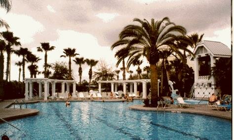 Marriott Cypress Harbor Pool Photo - Cypress Harbour, Orlando, Florida 
