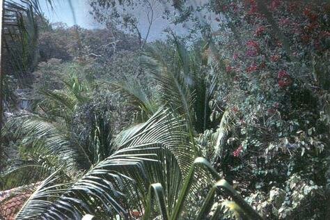 Puerto Angel la Buena Vista Photo - la Buena Vista, Puerto Angel, Mexico 