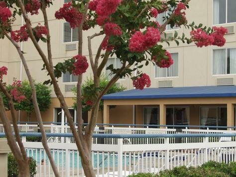 Great Myrtles of Myrtle Beach Photo - Fairfield Inn by Marriott Myrtle Beach Broadway at the Beach , Myrtle Beach, South Carolina 