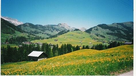 Cycling Photo - Cycling to Chateau d'Oex, Saanen, Switzerland 