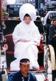 Hachimangu Shrine Photo - Tsurugaoka Hachimangu Shrine, Tokyo, Japan 