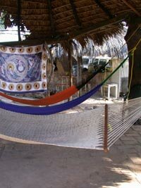 Palapa Photo - Stone Island Beach Cabins, Isla de la Piedra, Mexico 
