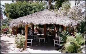 The Main Palapa Photo - Senor Manana's, Cabo San Lucas, Mexico 