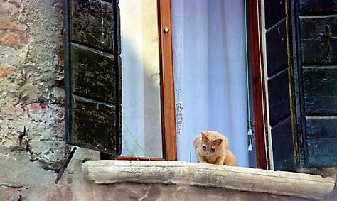 Total concentration Photo - Pensione Bucintoro, Venice, Italy 